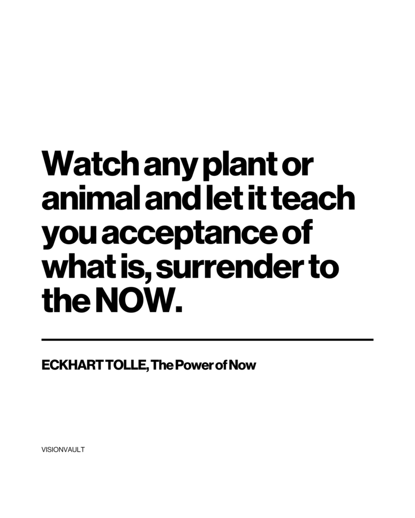 Top 30 The Power of Now Quotes